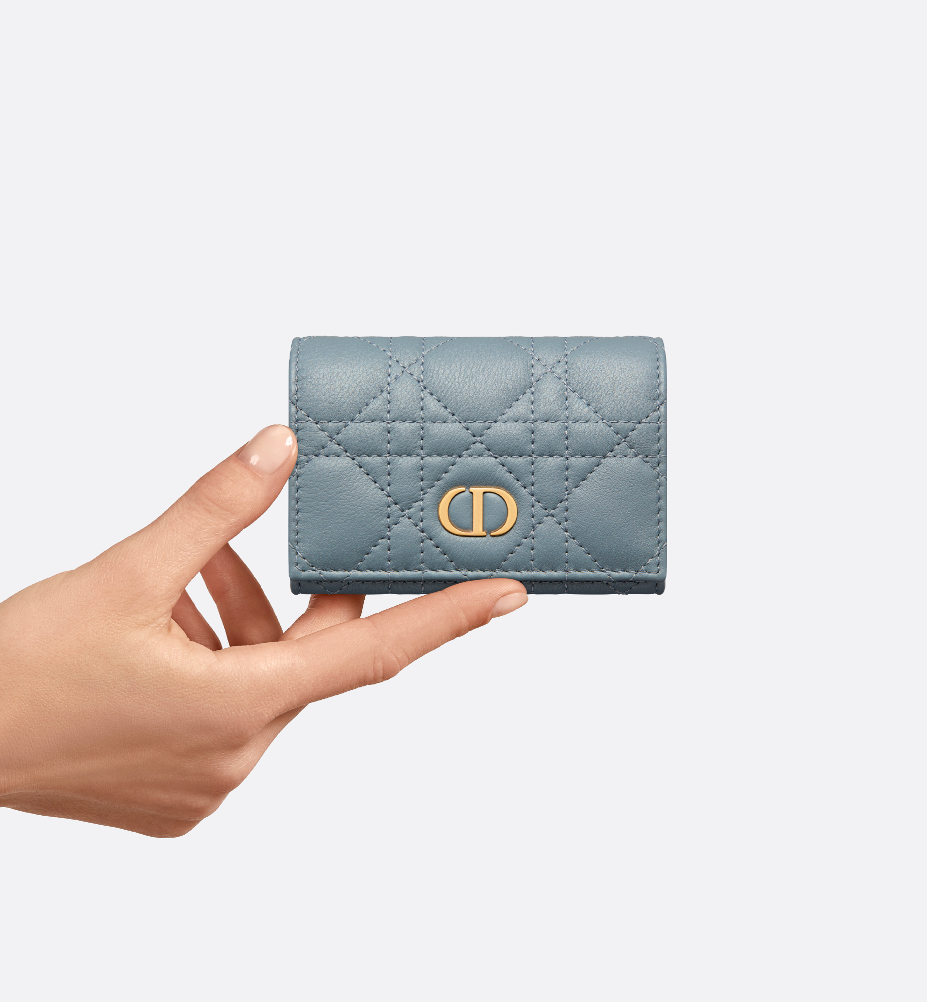 Dior Caro Glycine ウォレット