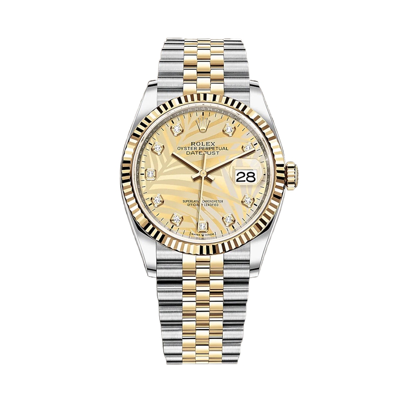 モデル オイスター、36 mm、オイスタースチール＆イエローゴールド126233