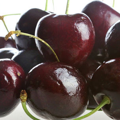 [กินได้ทั้งครอบครัว] เมล็ดเชอร์รี่หลากหลายสายพันธุ์