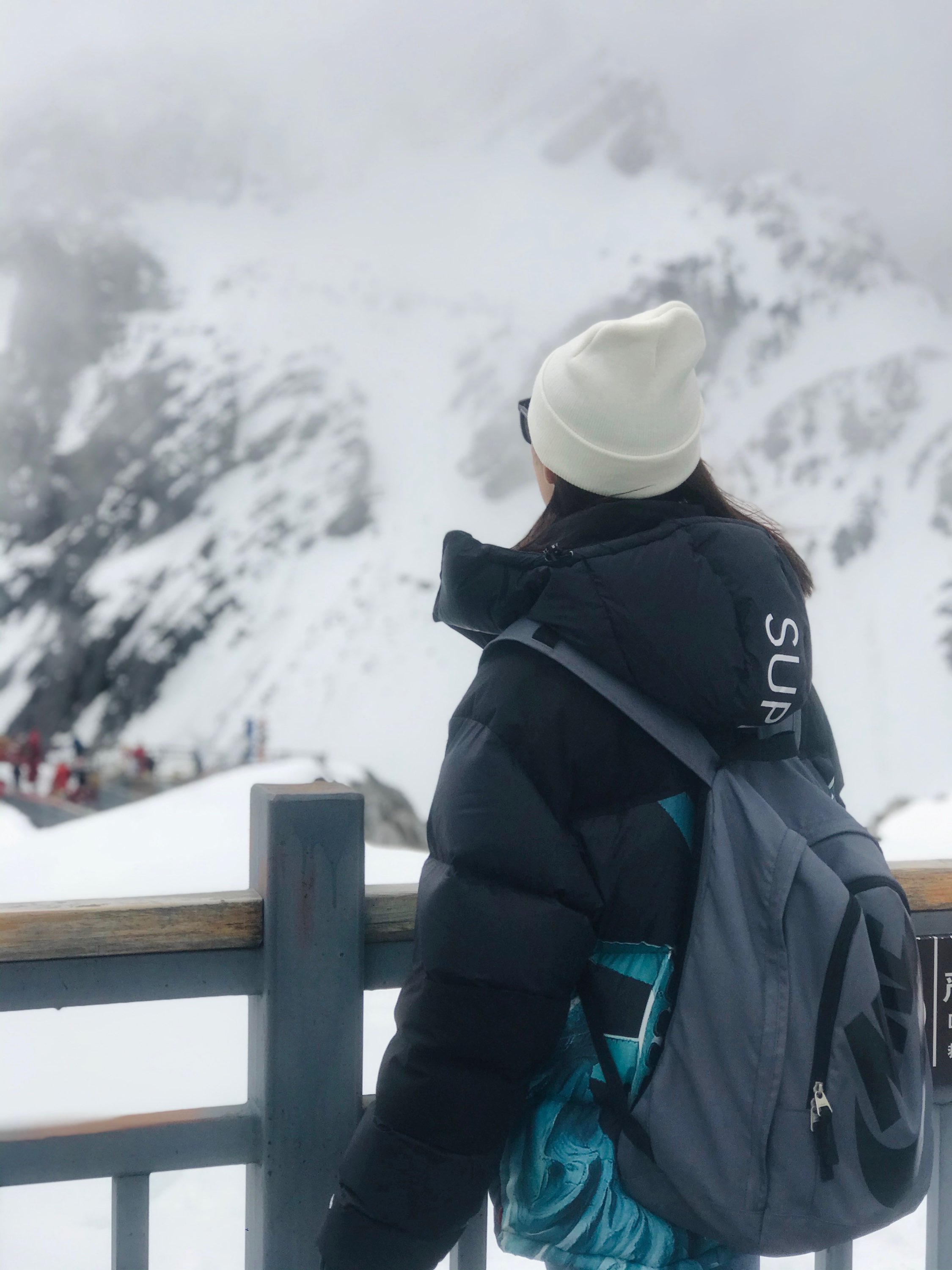 【希少】Supreme®/The North Face® Statue of Liberty Baltoro Jacket