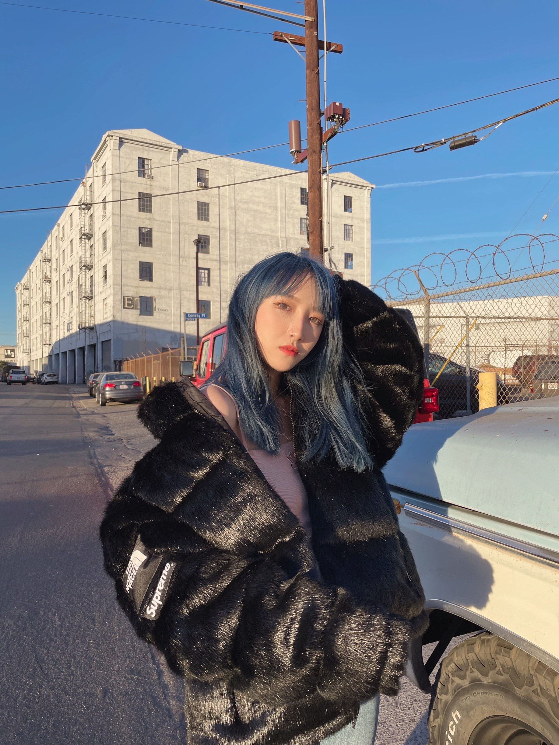 Supreme®/The North Face® Faux Fur Nuptse Jacket