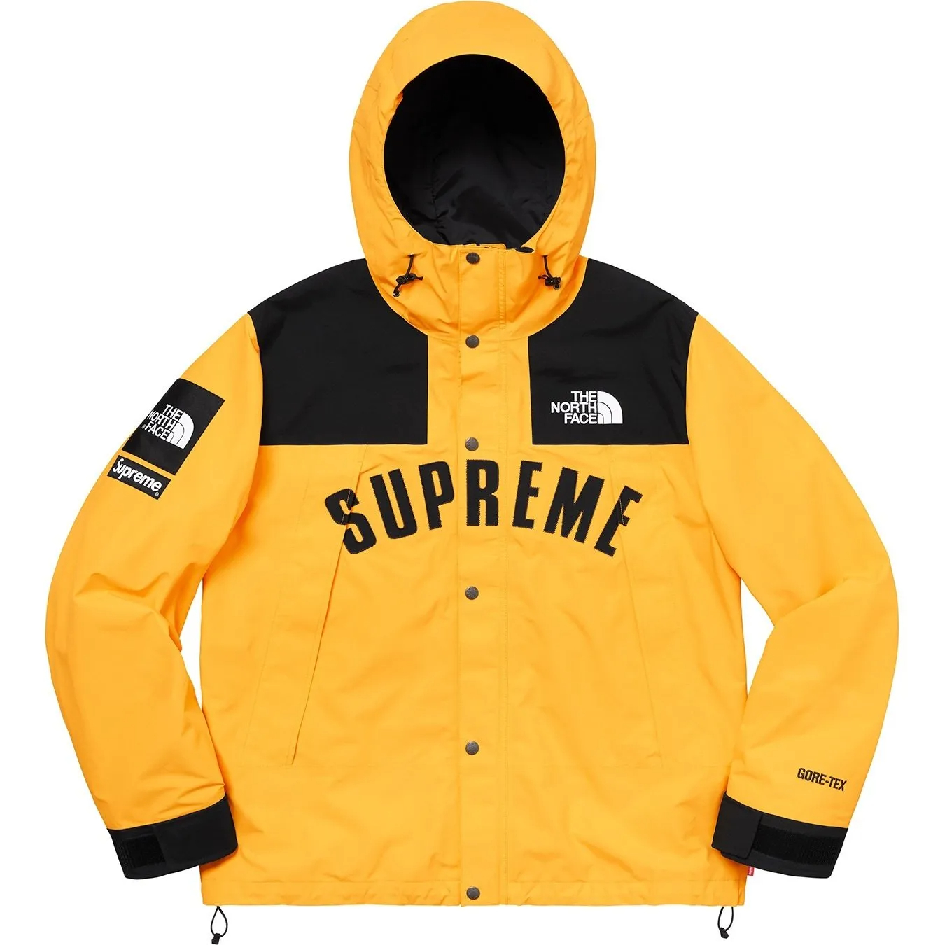 Supreme®/The North Face® Arc Logo Mountain Parka