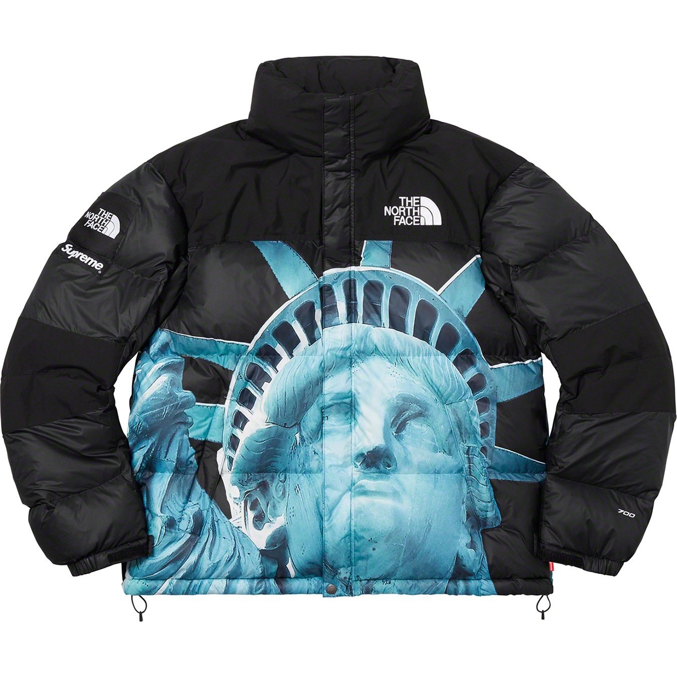 【希少】Supreme®/The North Face® Statue of Liberty Baltoro Jacket