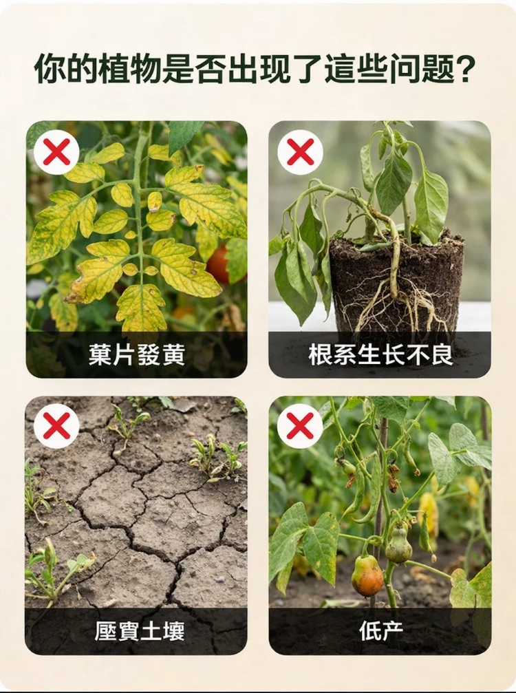 详情图_3.png