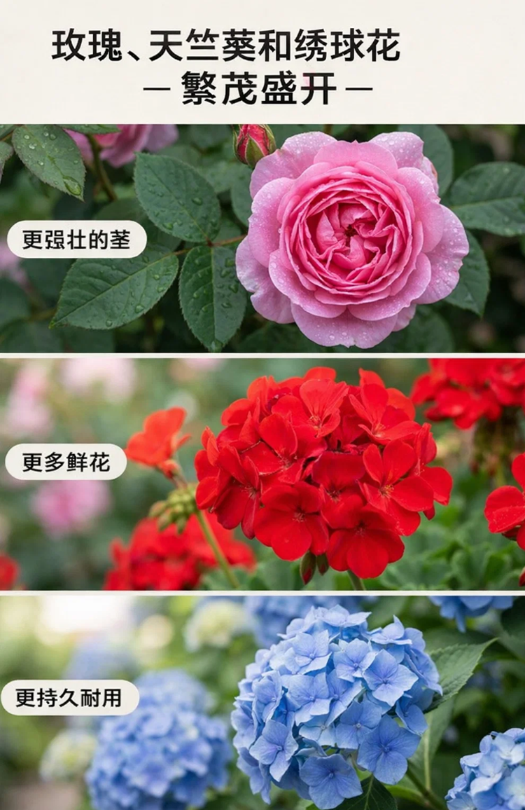 详情图_12.png
