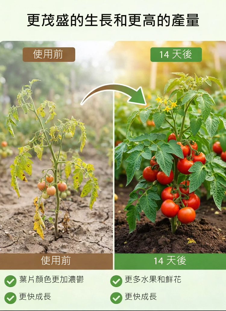 详情图_9.png