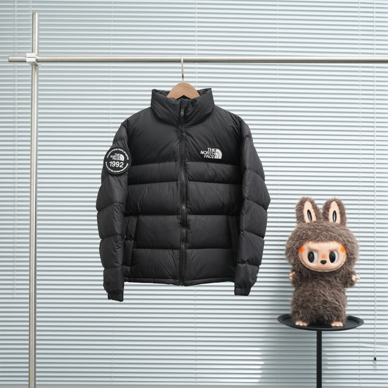 ザ・ノース・フェース 1992 アームバンドバッジ ダウンジャケット