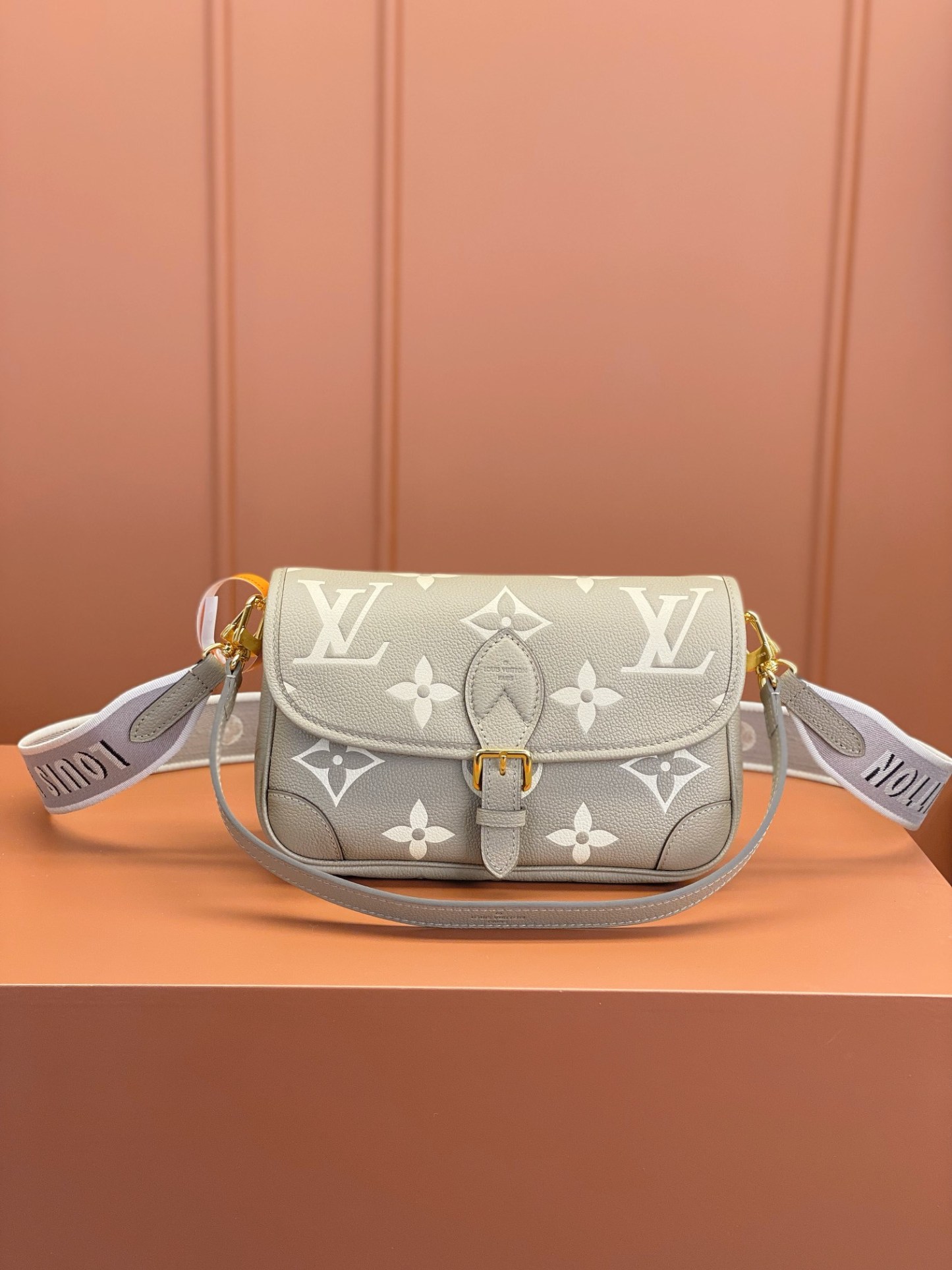 Louis Vuitton  ルイ・ヴィトン シーズナル ワンショルダーバッグ 