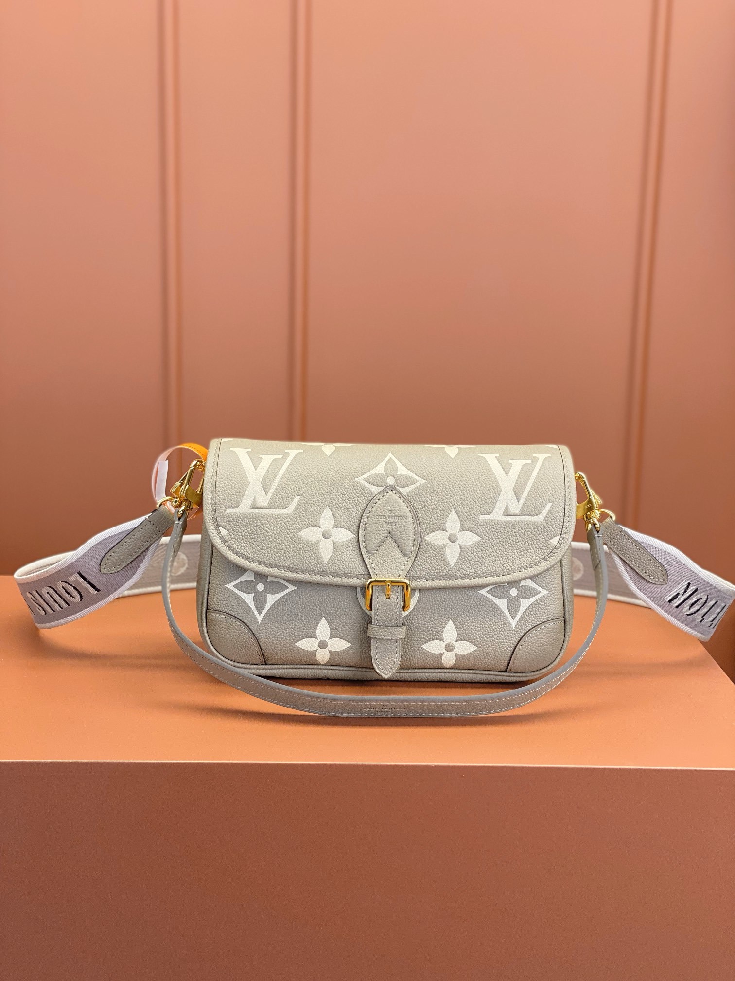 Louis Vuitton  ルイ・ヴィトン シーズナル ワンショルダーバッグ 