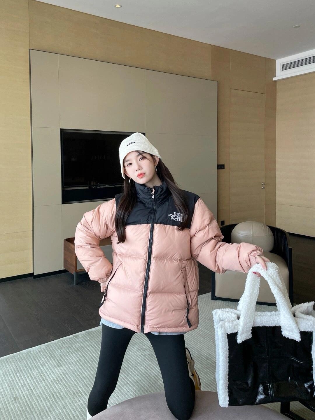 The North Face 1996 Nuptse 4 NCHアウトドアクラシックダウンジャケット