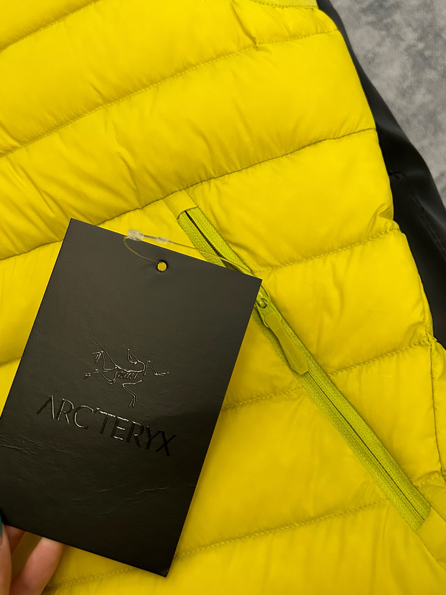 始祖鳥冬のトリプルパンチダウンダウンジャケットインナー付きセット