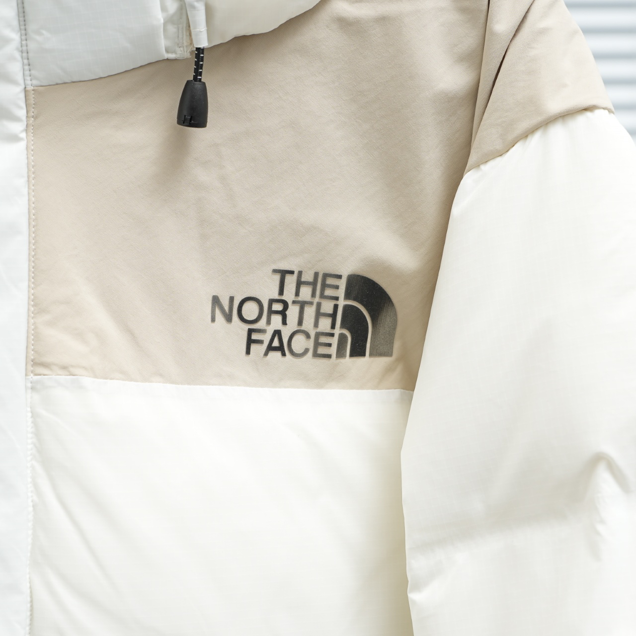 ザ・ノース・フェース ピーク ポーラー GTX フード付きクロップドダウンジャケット