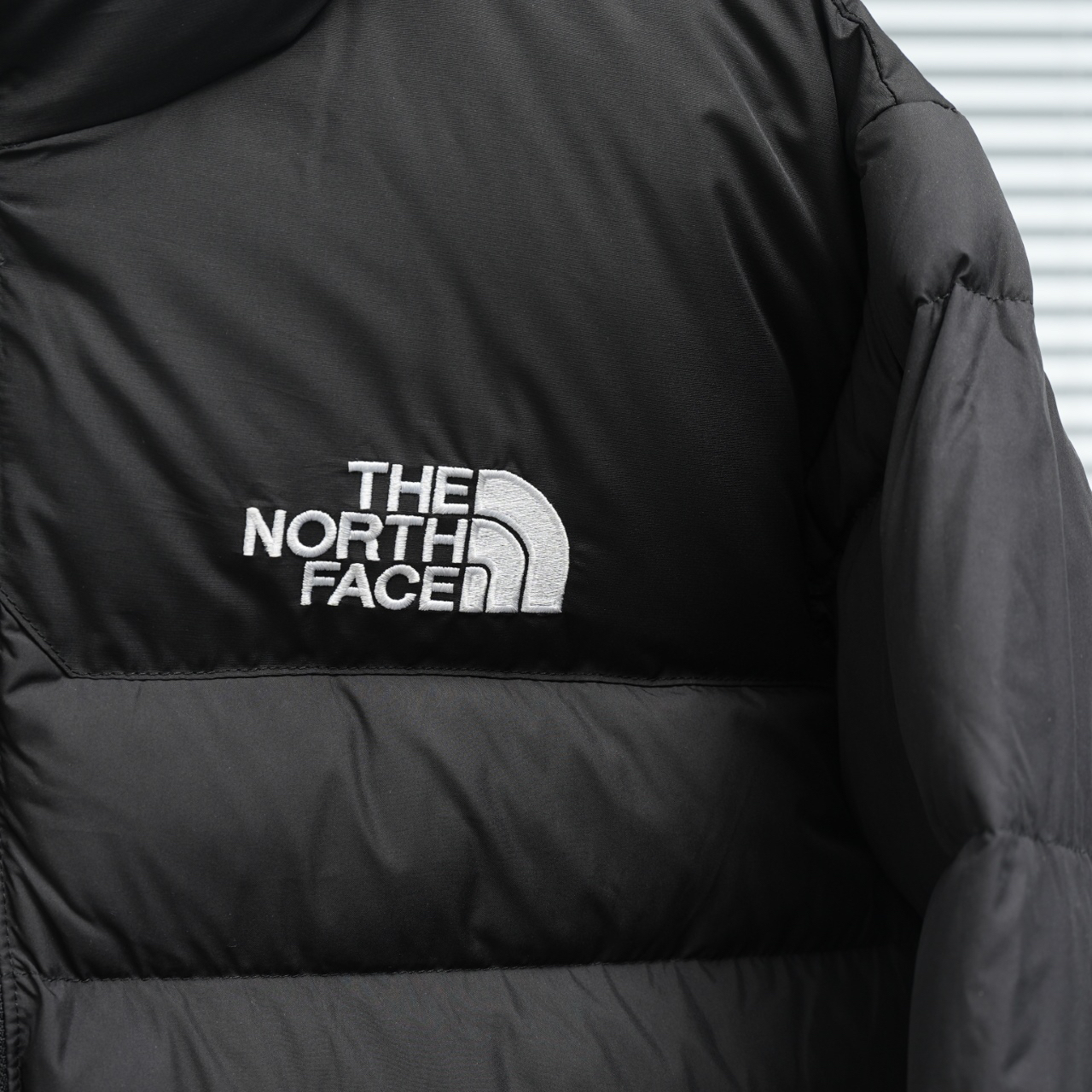 ザ・ノース・フェース 1992 アームバンドバッジ ダウンジャケット