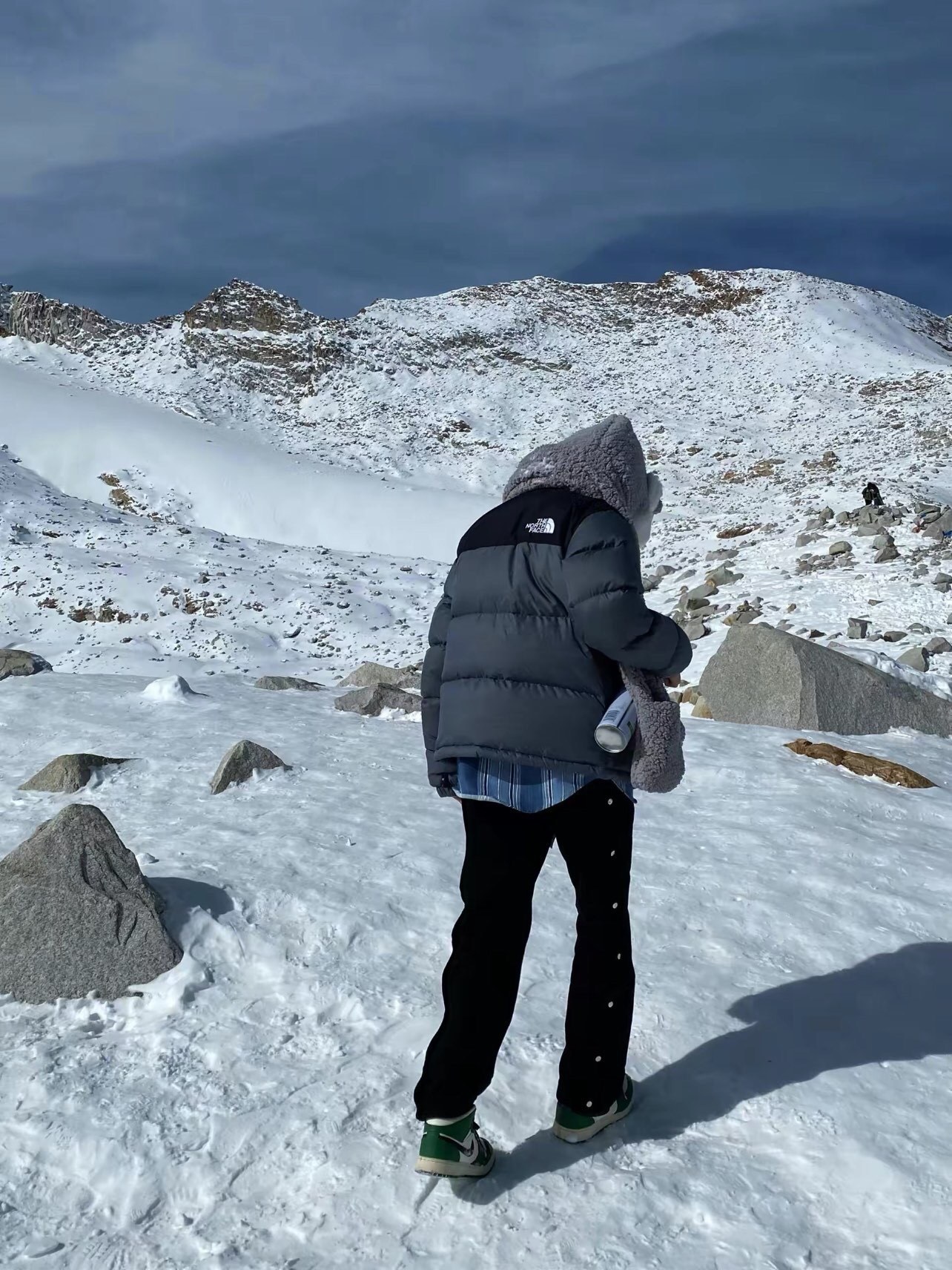 The North Face 1996 Nuptse 4 NCHアウトドアクラシックダウンジャケット