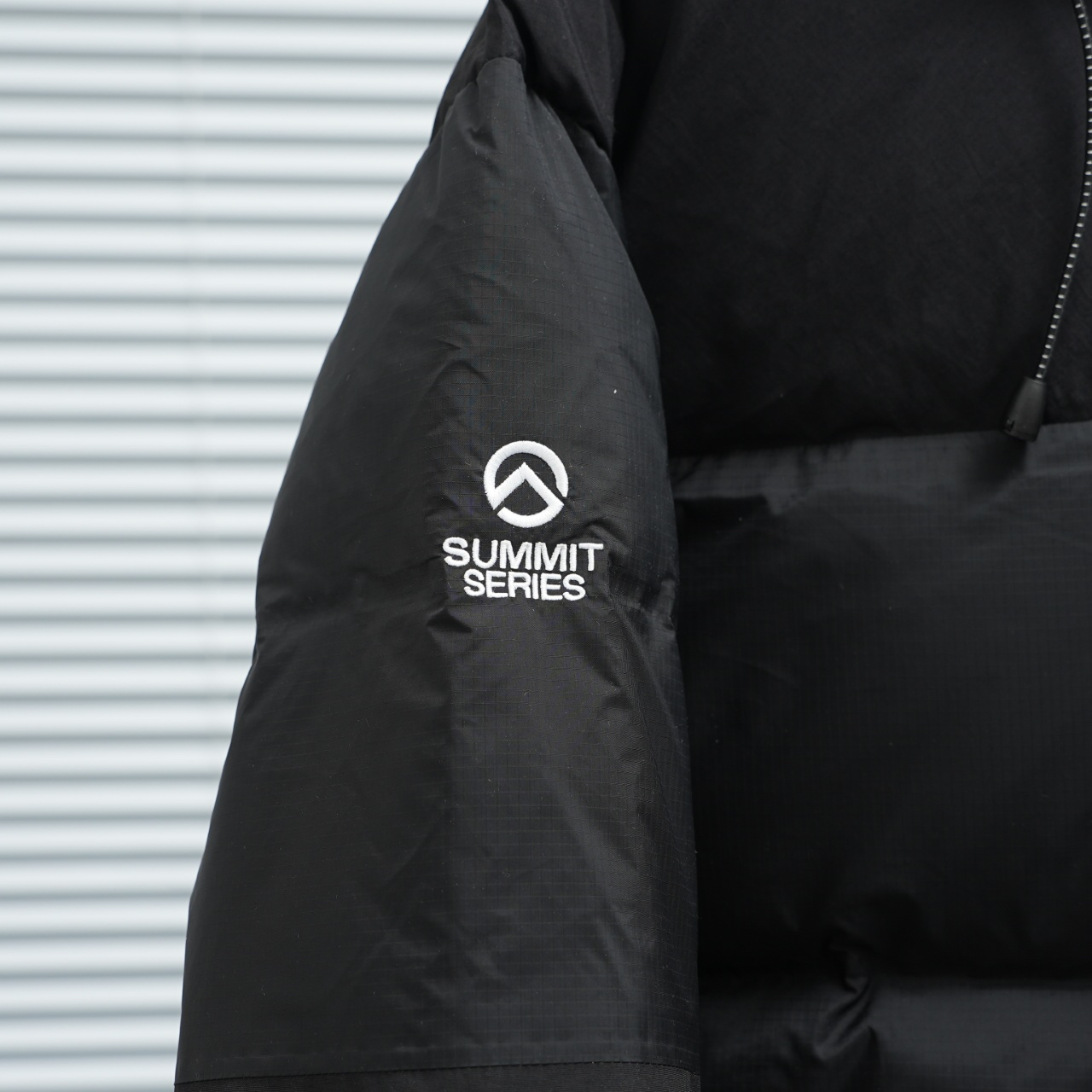 ザ・ノース・フェース ピーク ポーラー GTX フード付きクロップドダウンジャケット