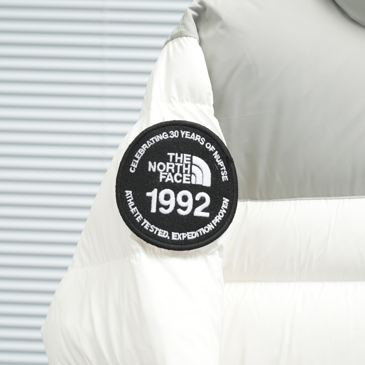 ザ・ノース・フェース 1992 アームバンドバッジ ダウンジャケット