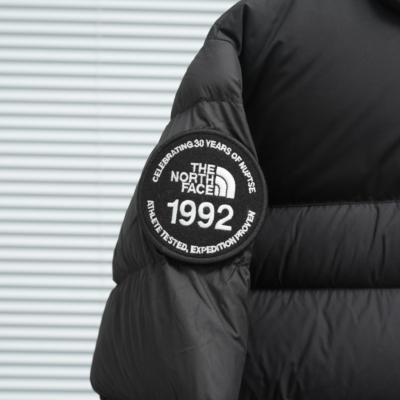 ザ・ノース・フェース 1992 アームバンドバッジ ダウンジャケット
