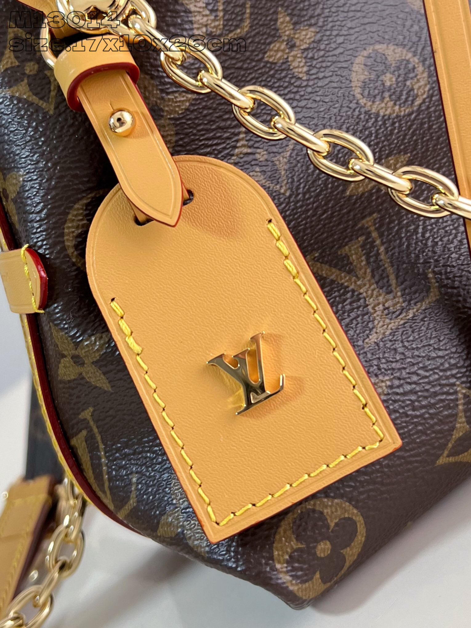 Louis Vuitton  ルイ・ヴィトン シーズナル ワンショルダーバッグ 