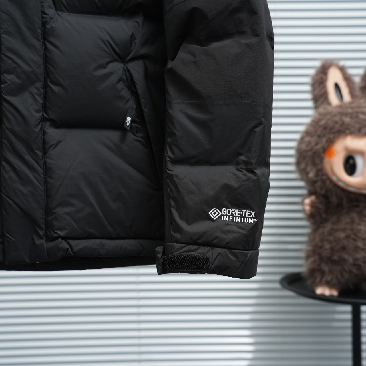 ザ・ノース・フェース ピーク ポーラー GTX フード付きクロップドダウンジャケット