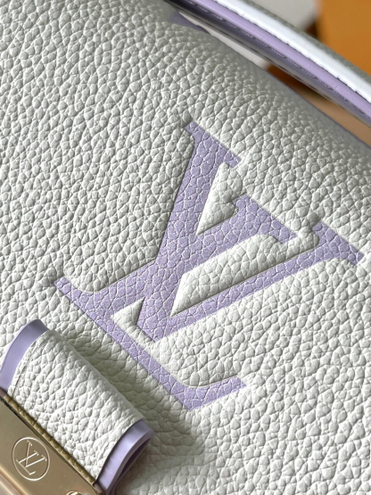 Louis Vuitton  ルイ・ヴィトン シーズナル ワンショルダーバッグ 