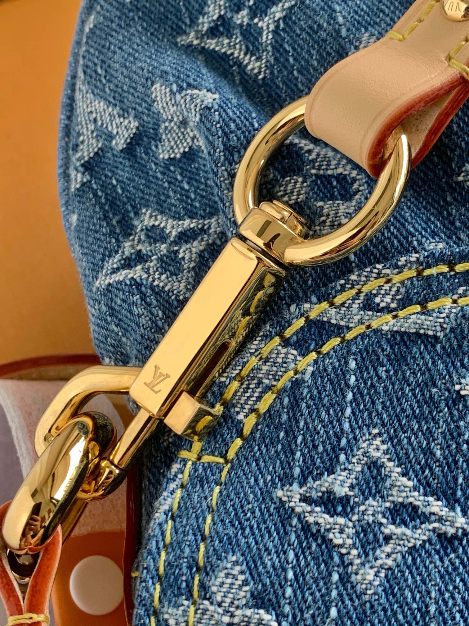 Louis Vuitton  ルイ・ヴィトン シーズナル ワンショルダーバッグ 