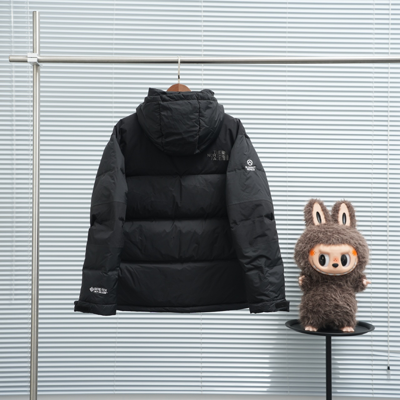 ザ・ノース・フェース ピーク ポーラー GTX フード付きクロップドダウンジャケット