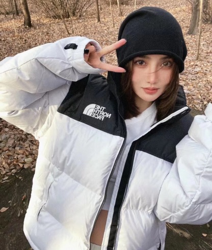 The North Face 1996 Nuptse 4 NCHアウトドアクラシックダウンジャケット