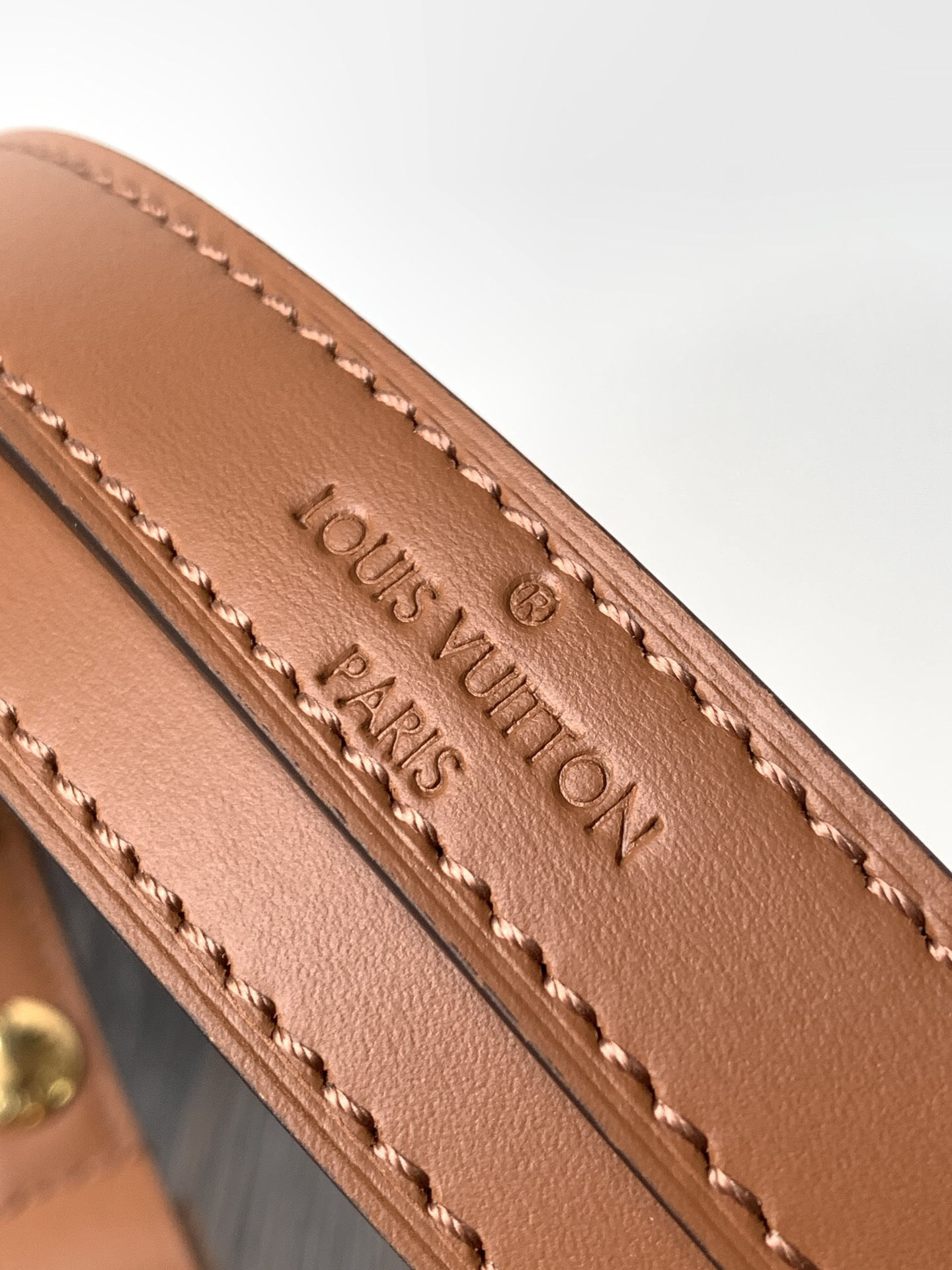 Louis Vuitton  ルイ・ヴィトン シーズナル ワンショルダーバッグ 