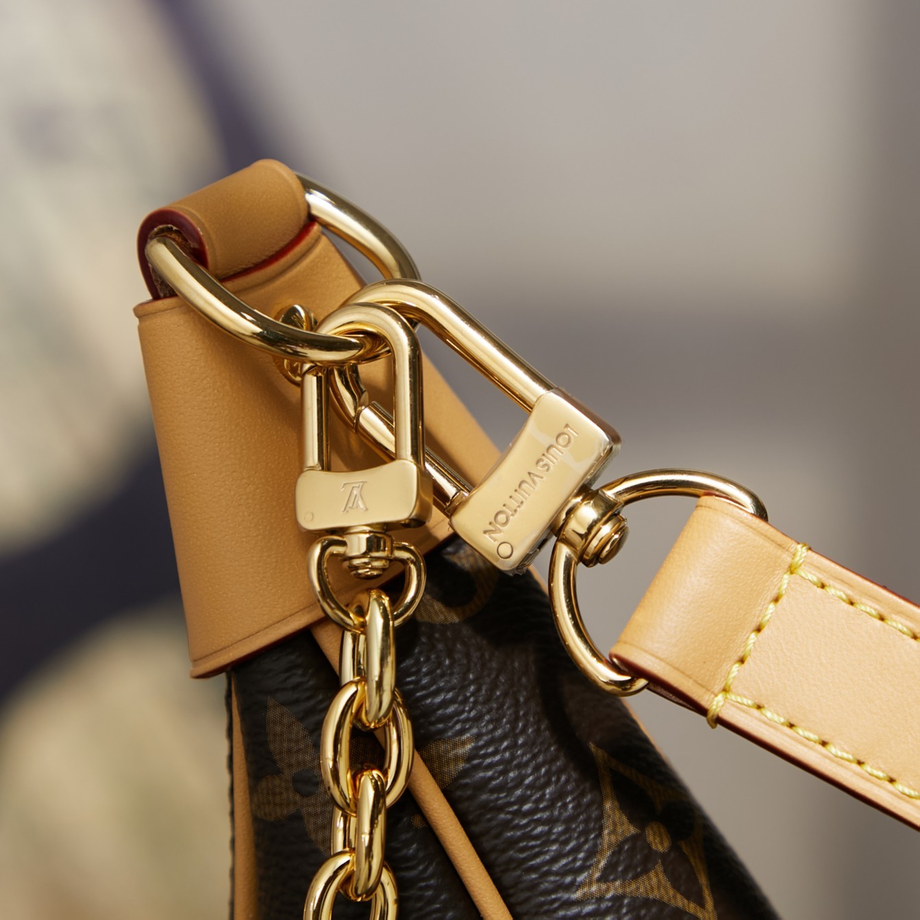 Louis Vuitton  ルイ・ヴィトン シーズナル ワンショルダーバッグ 