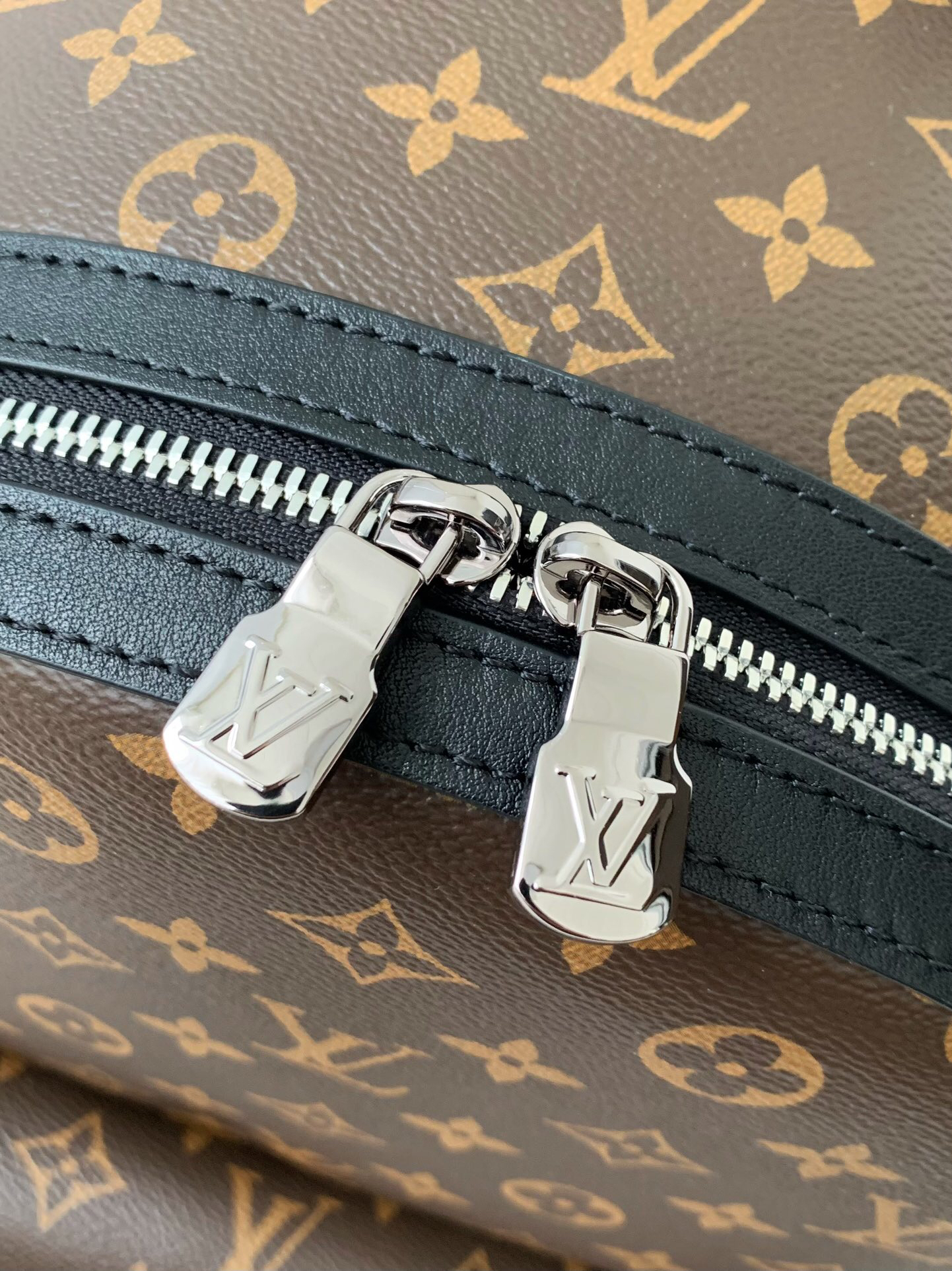 Louis Vuitton  ルイ・ヴィトン シーズナル ワンショルダーバッグ