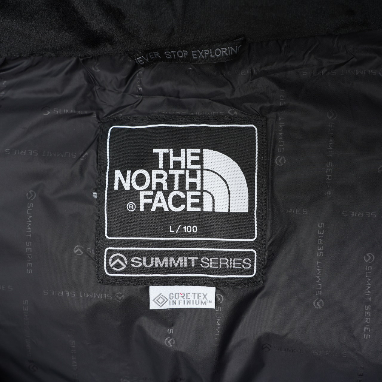 ザ・ノース・フェース ピーク ポーラー GTX フード付きクロップドダウンジャケット