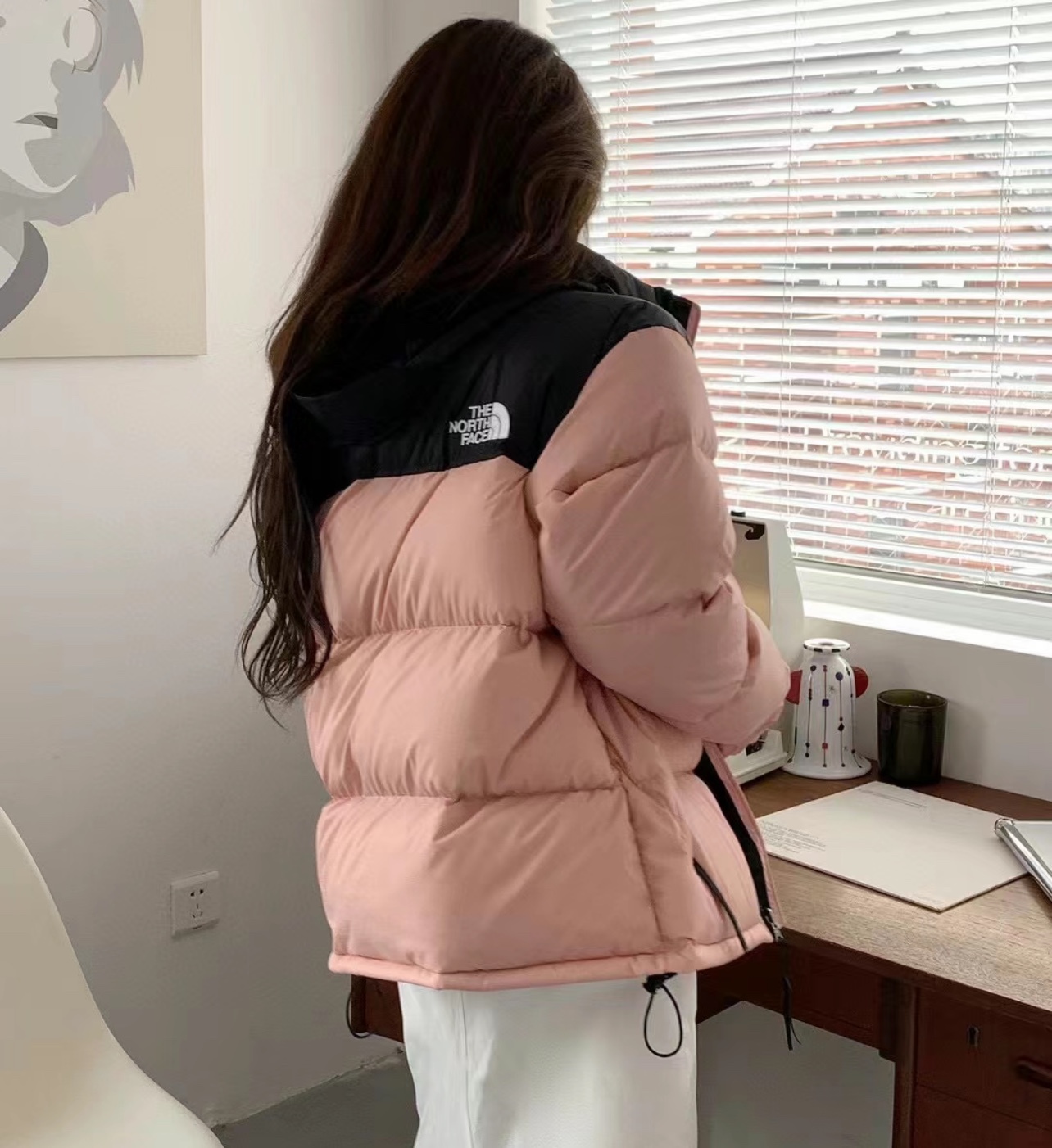 The North Face 1996 Nuptse 4 NCHアウトドアクラシックダウンジャケット