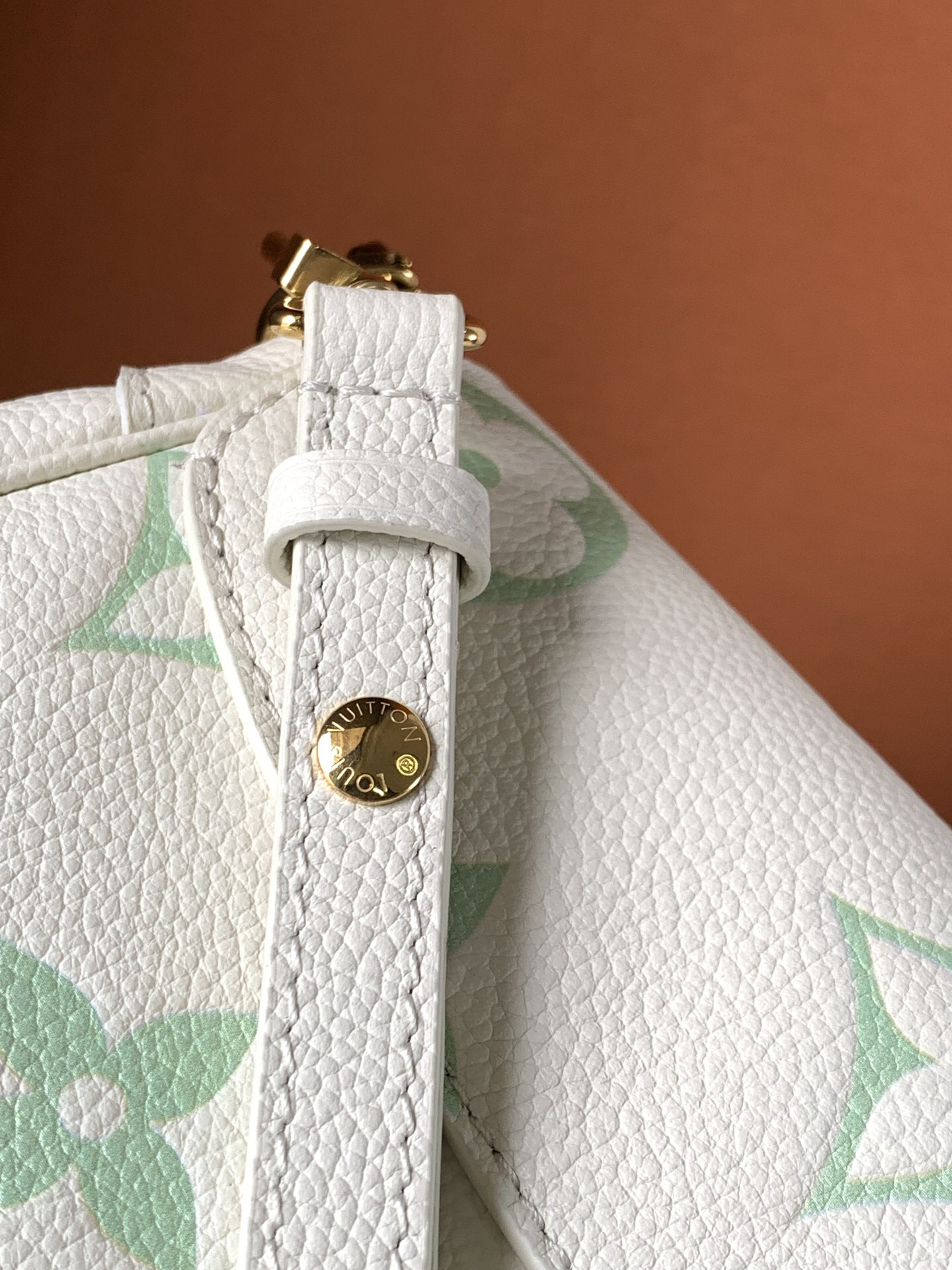 Louis Vuitton  ルイ・ヴィトン シーズナル ワンショルダーバッグ 