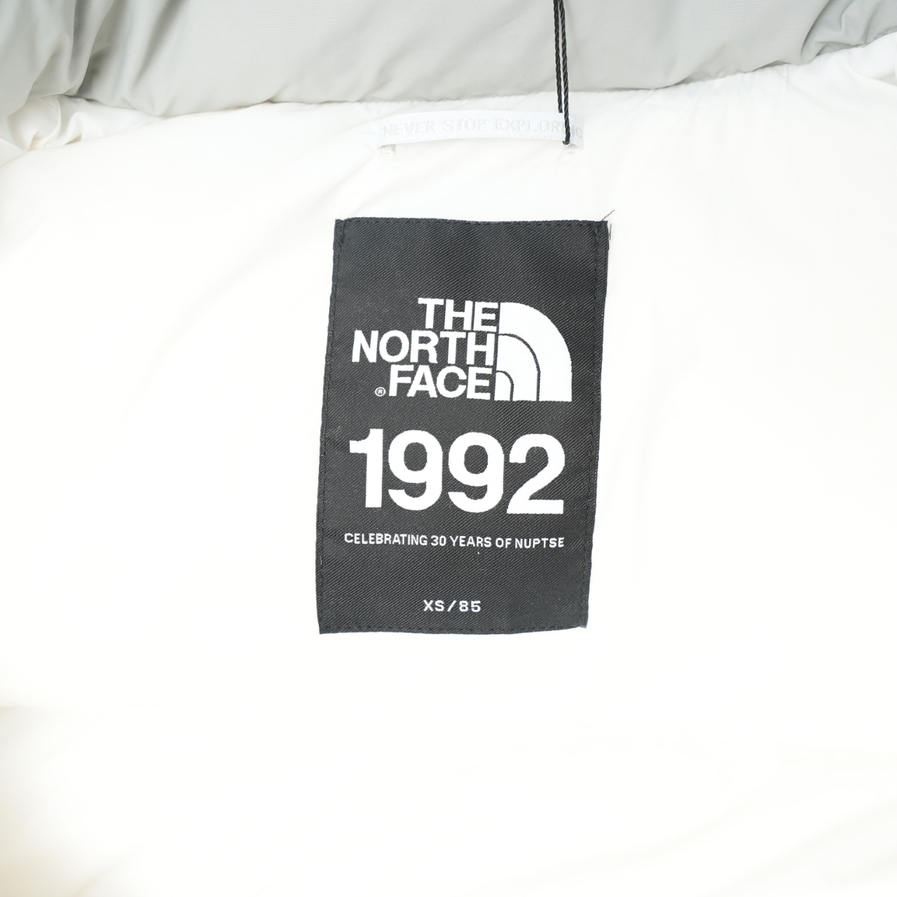 ザ・ノース・フェース 1992 アームバンドバッジ ダウンジャケット