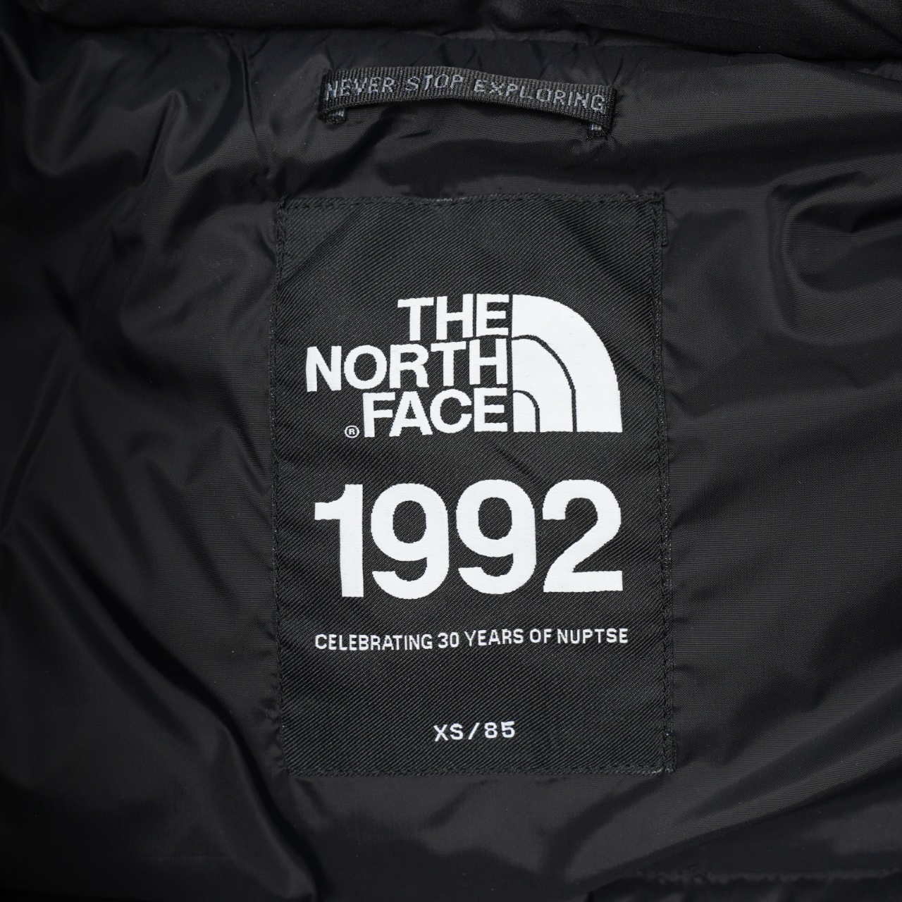 ザ・ノース・フェース 1992 アームバンドバッジ ダウンジャケット