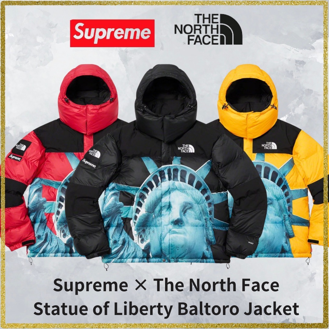 【希少】Supreme × The North Face Baltoro Jacket