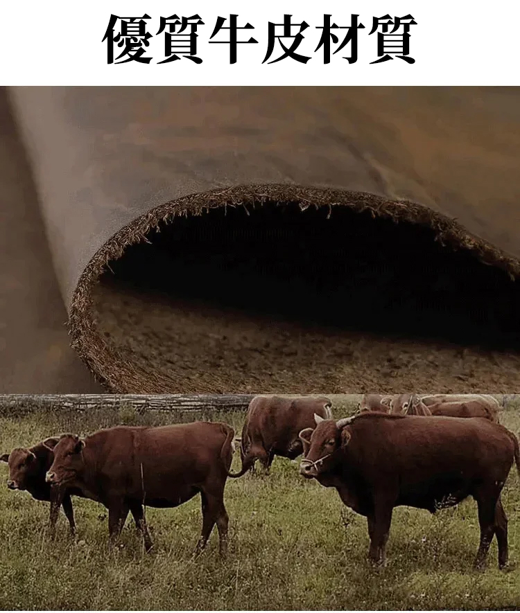 1_13.jpg