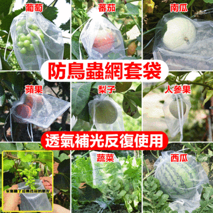 防蟲防鳥瓜果透氣網袋