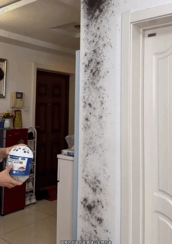 930d8e4ff3e108ad10afb07d74817ee4.gif