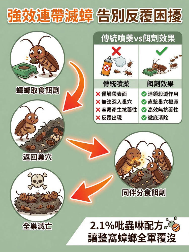 【全屋消殺】殺殺人餌劑