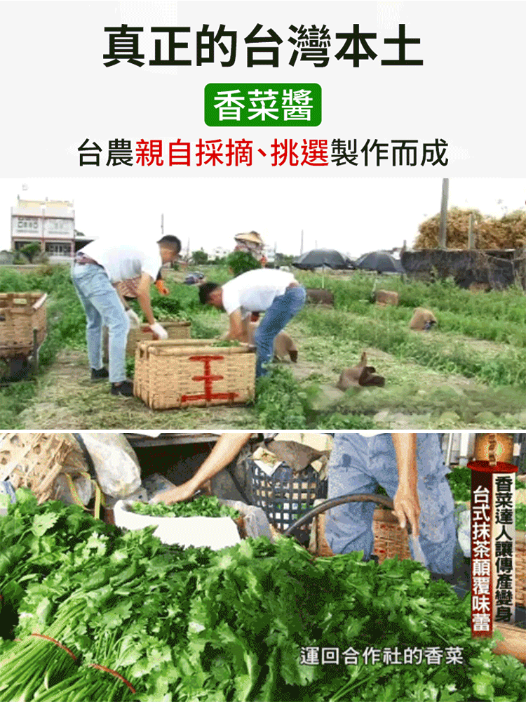 【健康首選】爆下飯香菜辣醬