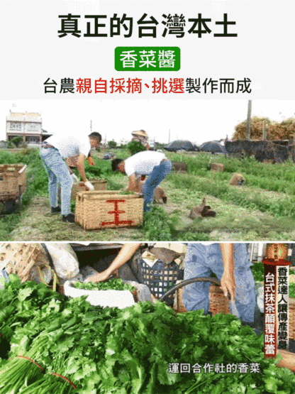 【健康首選】爆下飯香菜辣醬
