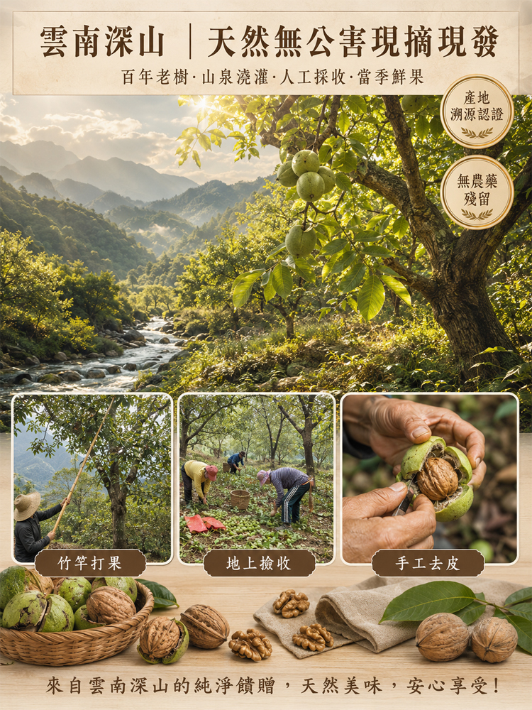 雲南紙皮薄皮核桃