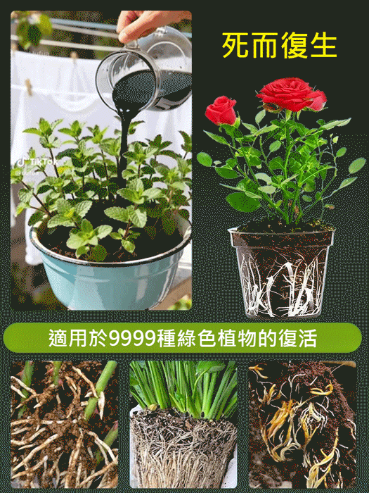【死了也能活】土壤營養活化劑