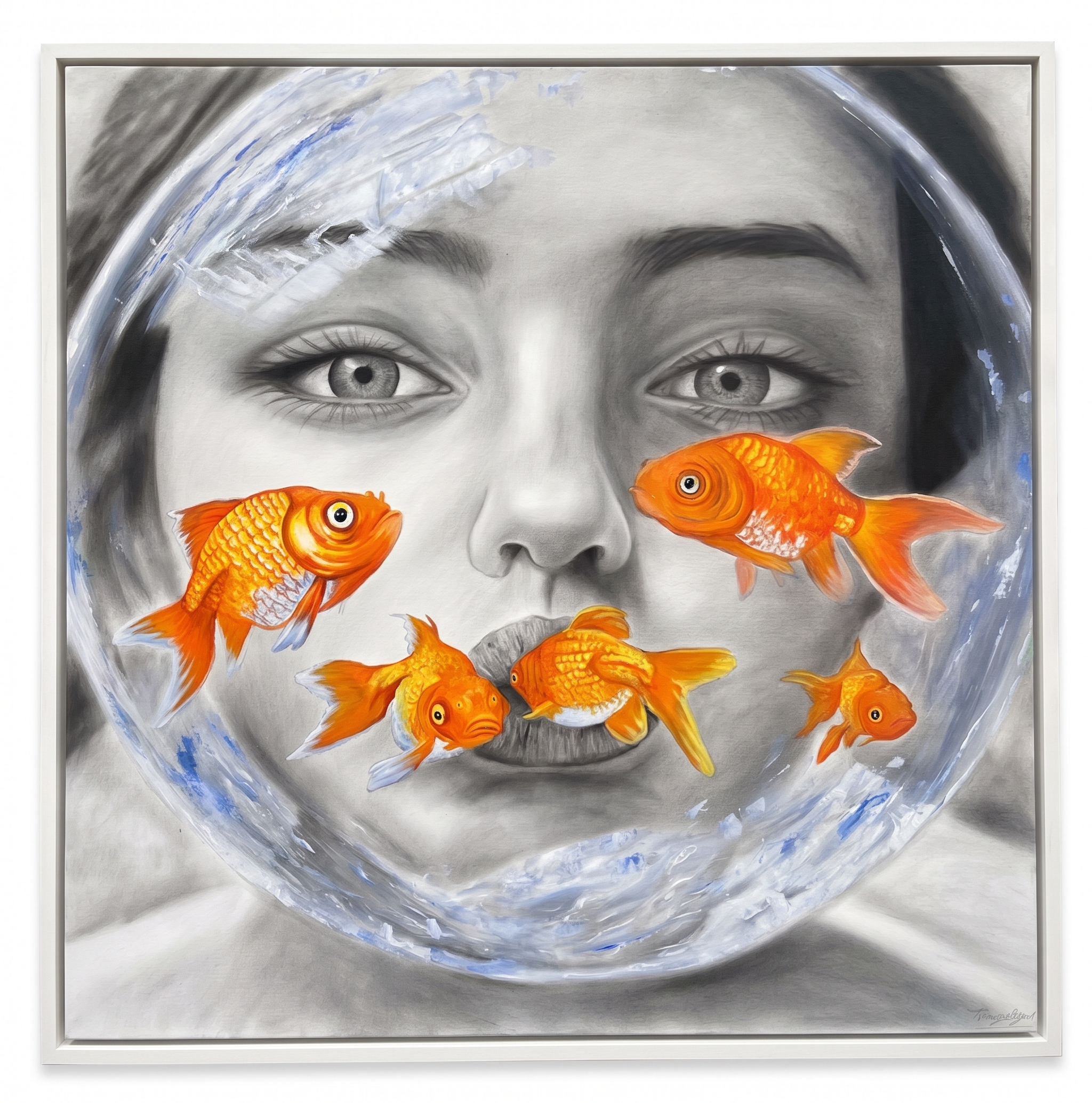 Bubble of Wonder