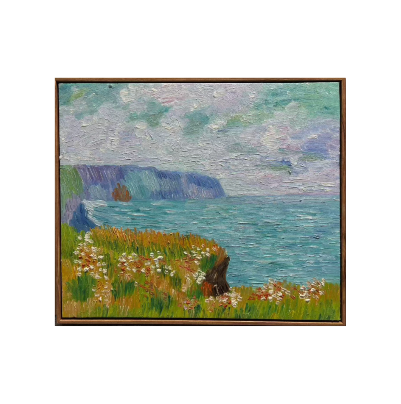 Clifftop Meadow by the Sea