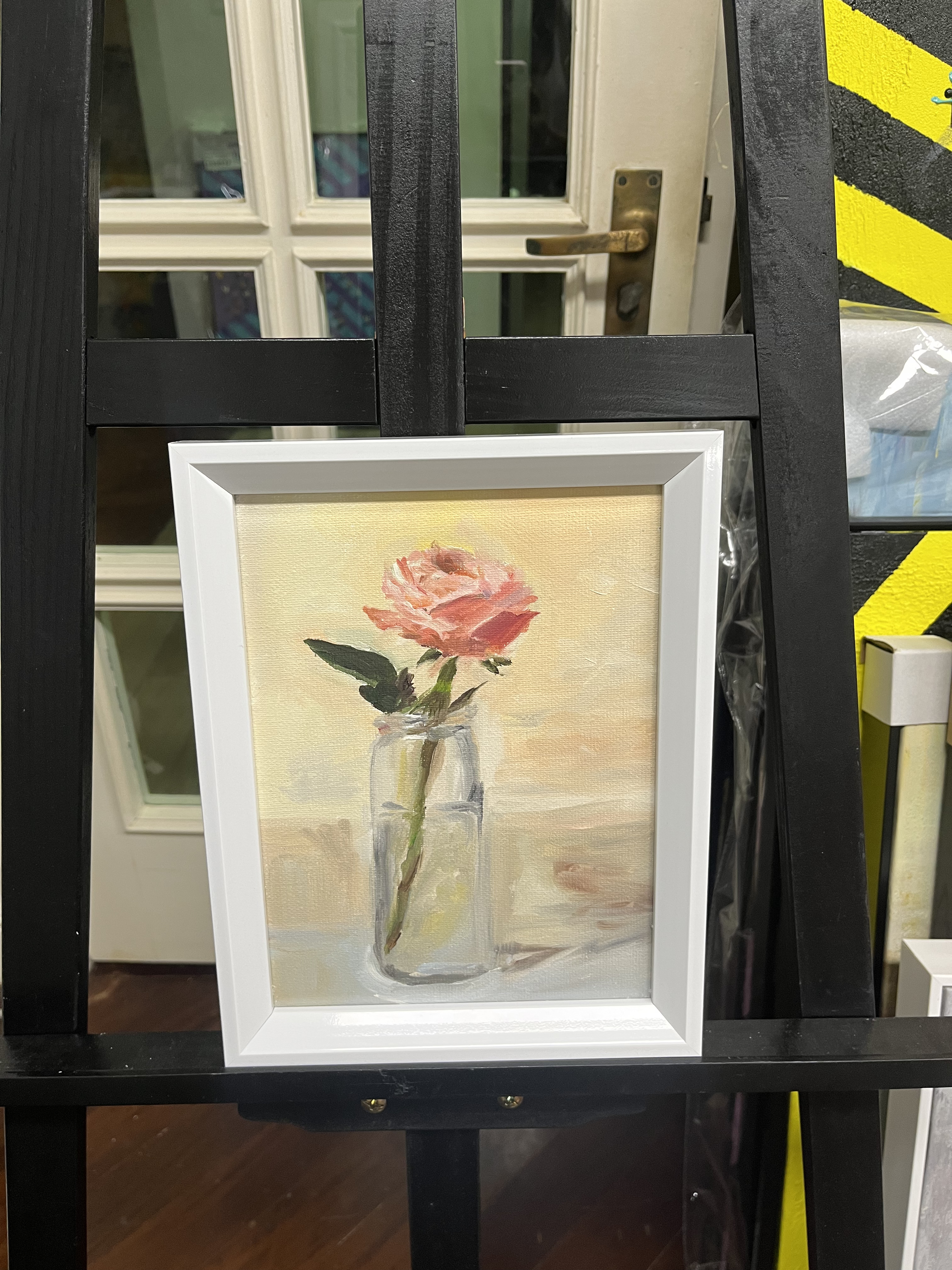 A Single Blush Rose