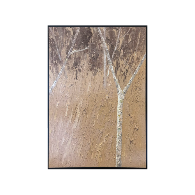 Silver Birch Soul
