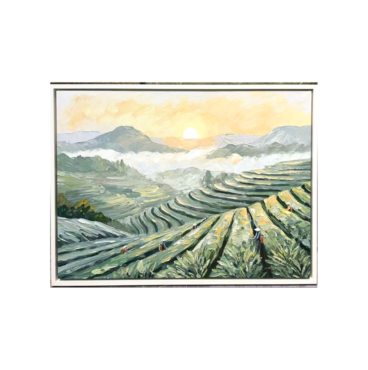 Sunrise Over the Terraces