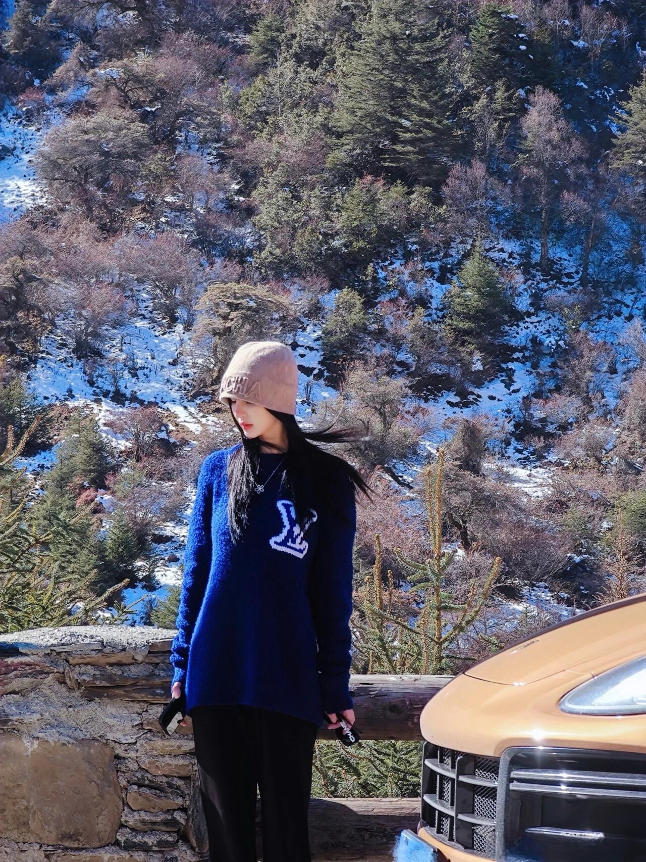 LV 25 春夏鏡像 Logo 嵌花毛衣